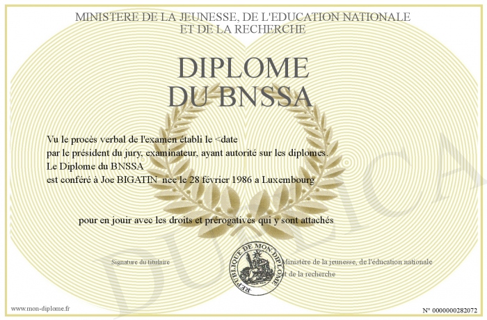 Diplome-du-BNSSA